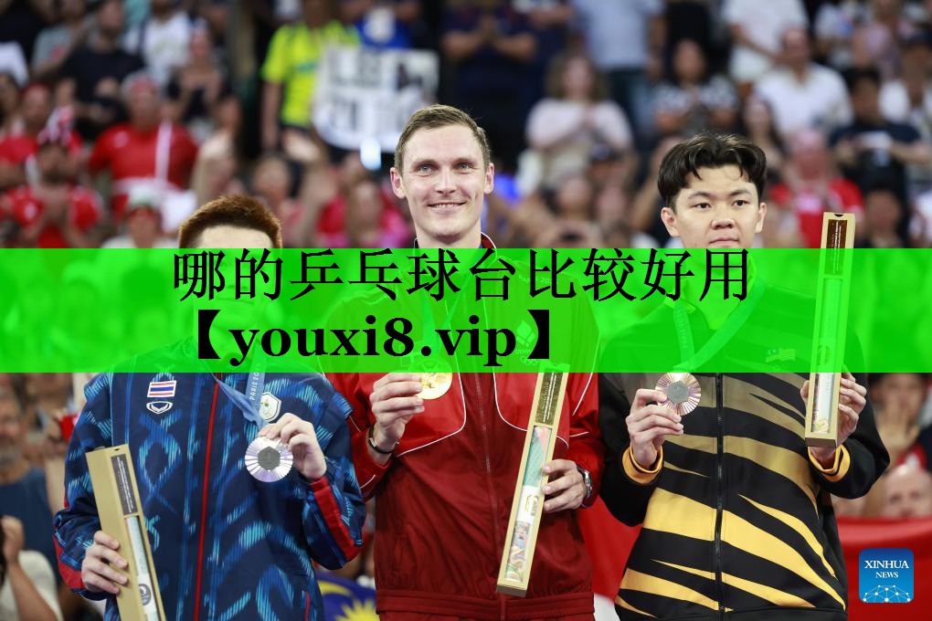 哪的乒乓球台比较好用
