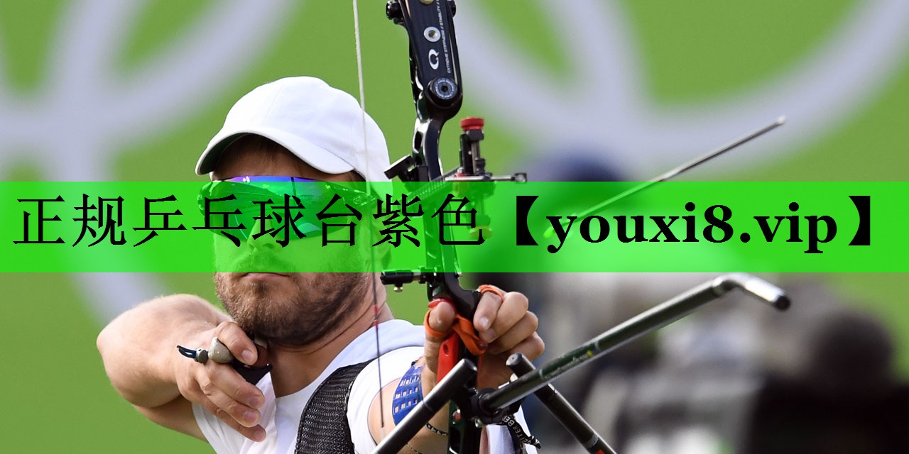 正规乒乓球台紫色
