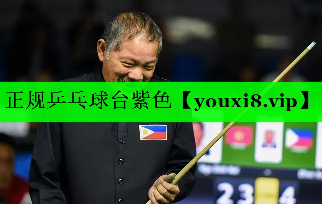 正规乒乓球台紫色