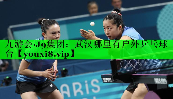 武汉哪里有户外乒乓球台