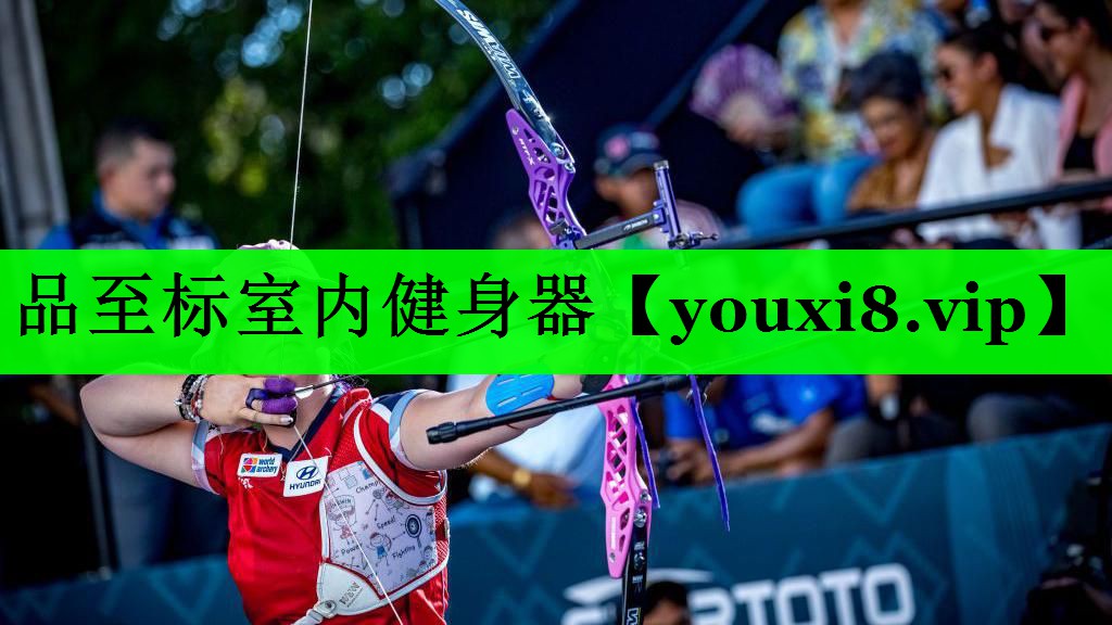 品至标室内健身器