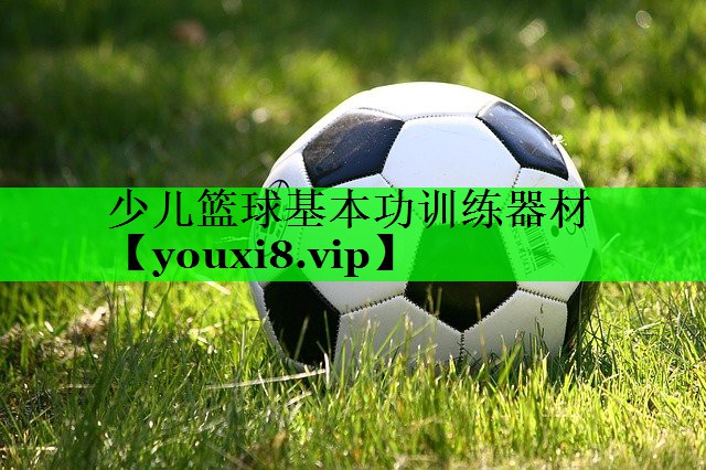少儿篮球基本功训练器材