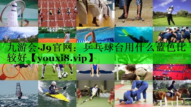 乒乓球台用什么蓝色比较好