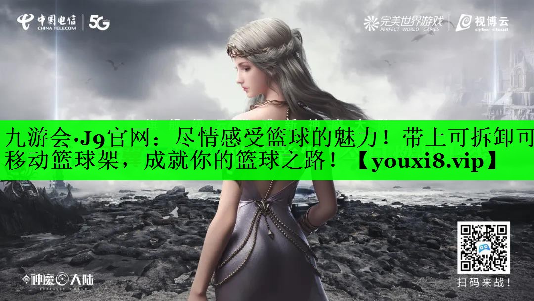 尽情感受篮球的魅力！带上可拆卸可移动篮球架，成就你的篮球之路！