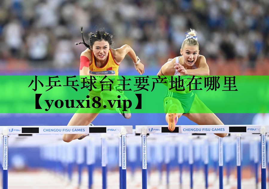 小乒乓球台主要产地在哪里