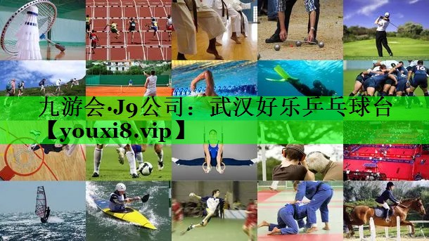 武汉好乐乒乓球台