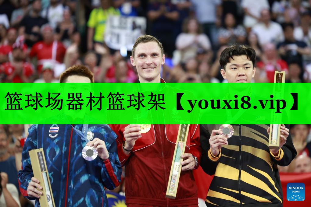 篮球场器材篮球架