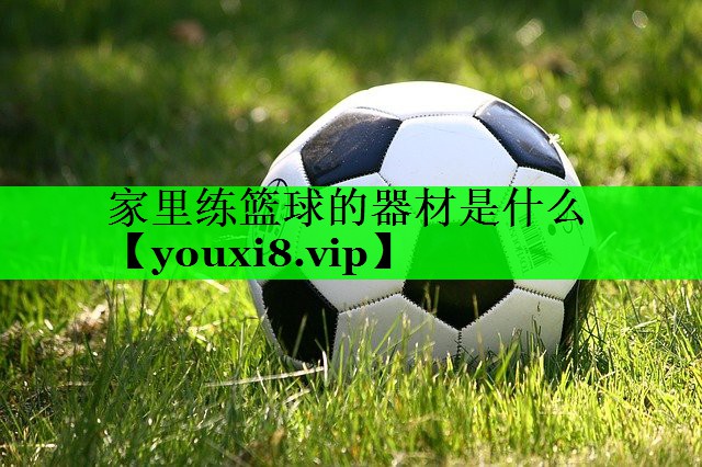 家里练篮球的器材是什么