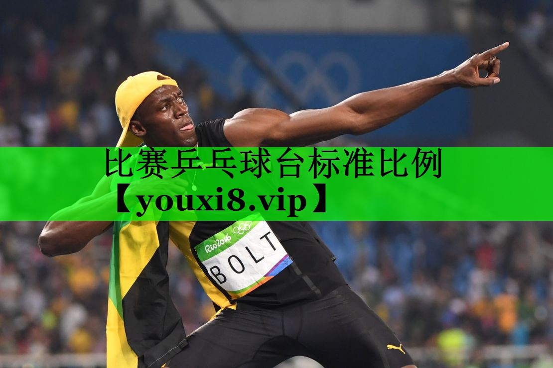 比赛乒乓球台标准比例